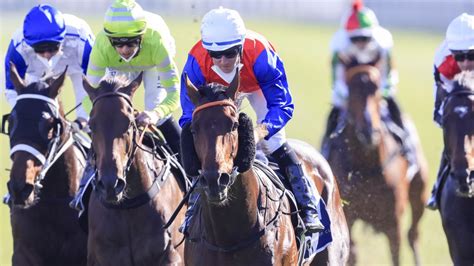 bondi stakes odds|Bondi Stakes .
